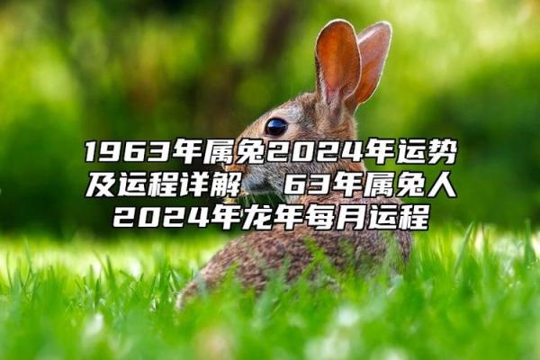 1963年属兔的是什么命？事业财运全解析