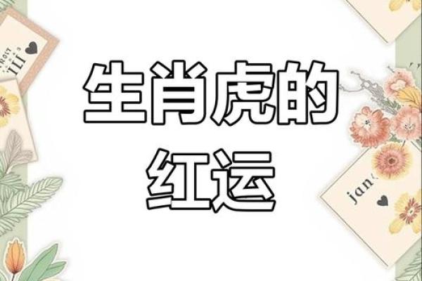 86年属虎女2026年运势如何？财运提升关键在哪