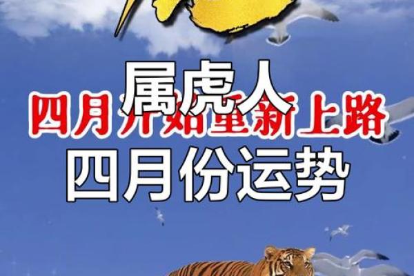 86年属虎女2026年运势如何？财运提升关键在哪