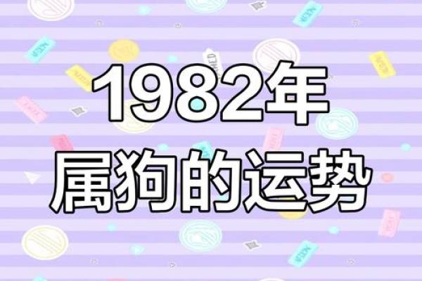 82年狗43岁后财运如何？揭秘晚年财富真相