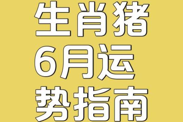 2026属猪人全年运势详解，事业财运早知道