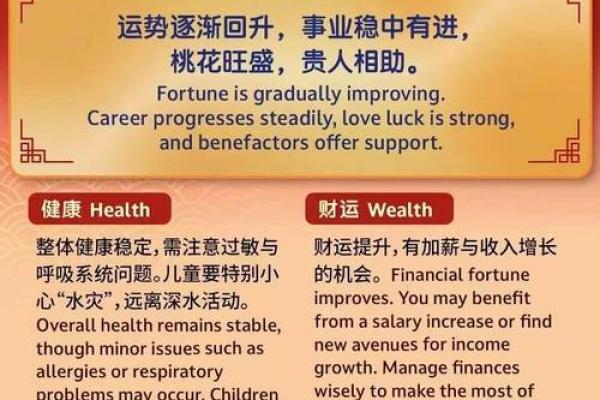 2026属猪人全年运势详解，事业财运早知道