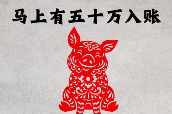 2026属猪人全年运势详解，事业财运早知道