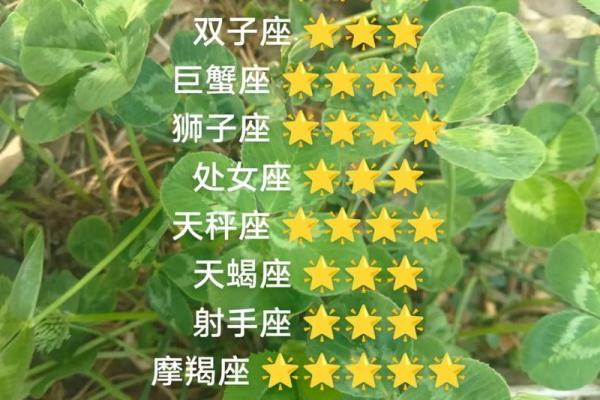 白羊座最没福气的属相揭秘,这样改运最有效! 白羊座最没福气的属相揭秘,这样改运最有效!