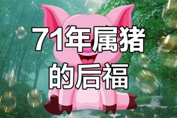 71属猪2026年真有横财？这样布局稳赚