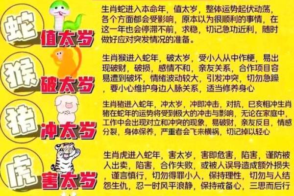 1979年属羊人今年运势如何?事业财运详解