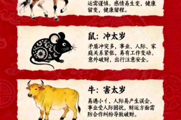 属鼠人2026年事业运如何？关键月份提醒