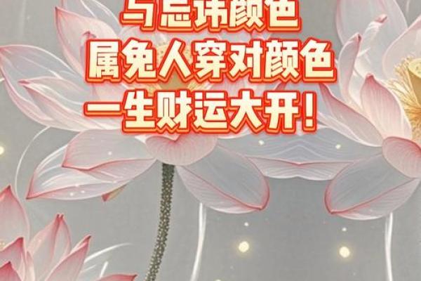 属兔人一生最吉利的字有哪些？助你运势提升