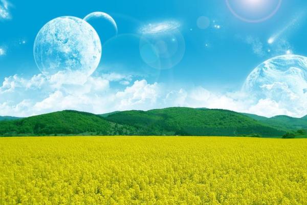 属猴的今年多大？2024年生肖猴年龄对照表