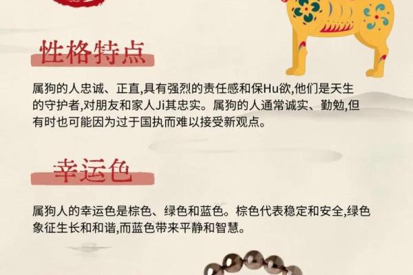 生肖狗2026年健康运怎样？化解方法公开