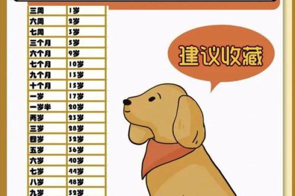 生肖狗2026年健康运怎样？化解方法公开