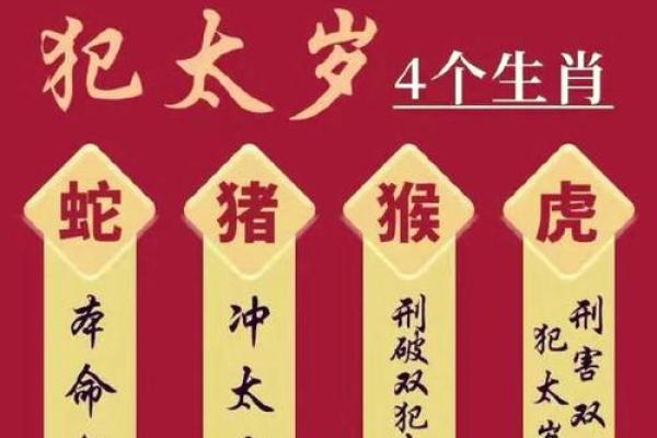 亥时最厉害的三个属相是哪些？运势提升必看