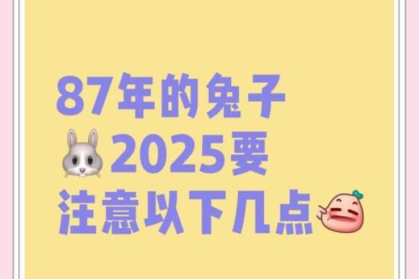 87年兔2026年运势如何?事业财运详解 87年兔2026年运势如何?事业财运详解