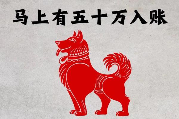 70年属狗55岁每月运势如何？精准解读助你趋吉避凶