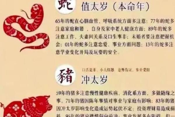 2026年属蛇人2026本命年每月运势详解，助你趋吉避凶