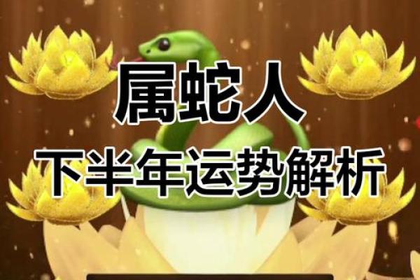1965年属蛇人2023年运势如何？事业财运详解
