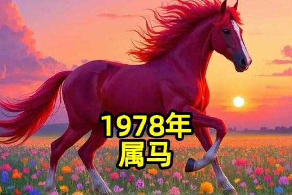 78年属马47岁2026年如何化解劫难？