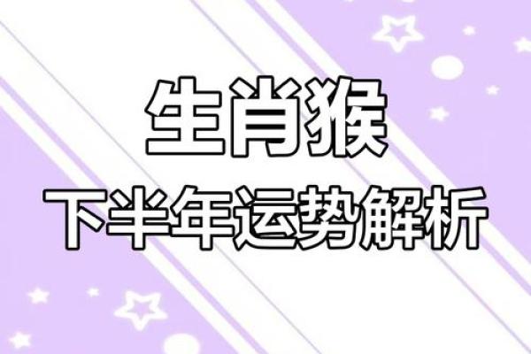 属猴2026年每月运势如何？详解全年运程