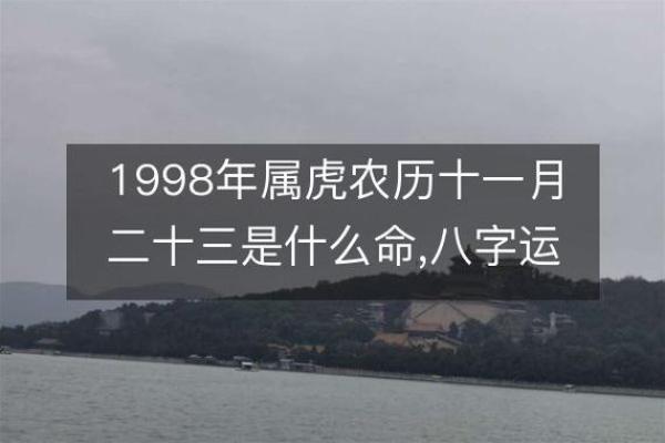 1998年属虎人今年运势如何？事业财运详解