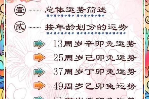 87年属兔2026年运势如何？事业财运详解