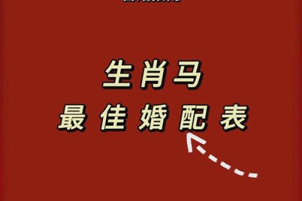 属马人一生旺的关键是什么?大人物案例解析