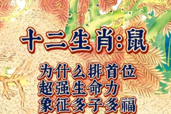 72鼠2026年每月运势如何？精准解读助你趋吉避凶