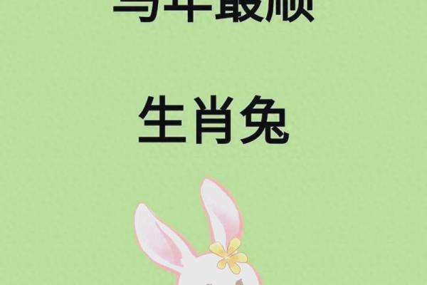 1975年属兔2026年财运如何？精准解析助你把握机遇