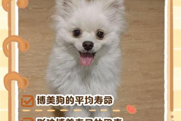 82狗人终身寿命一览表，精准预测你能活多久？