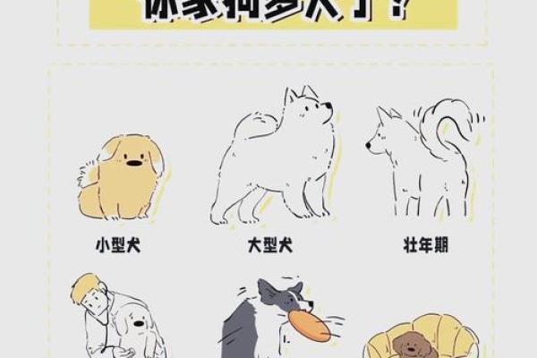 82狗人终身寿命一览表，精准预测你能活多久？