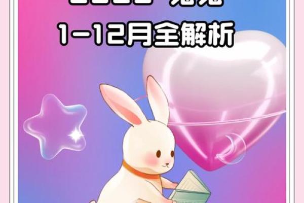 1975属兔人2026年运势如何?全年运程详解