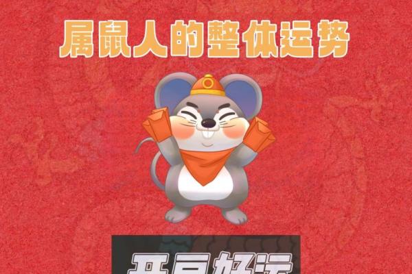 属鼠人2024年运势如何？事业财运全解析