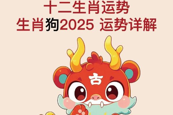 2006年属狗男孩命运如何？事业财运详解