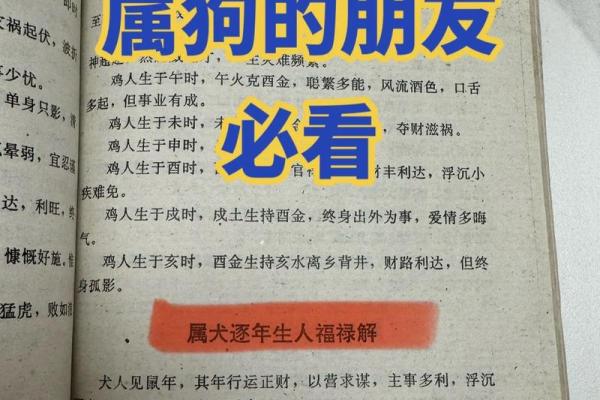 1970年属狗2026年运势如何？事业财运详解