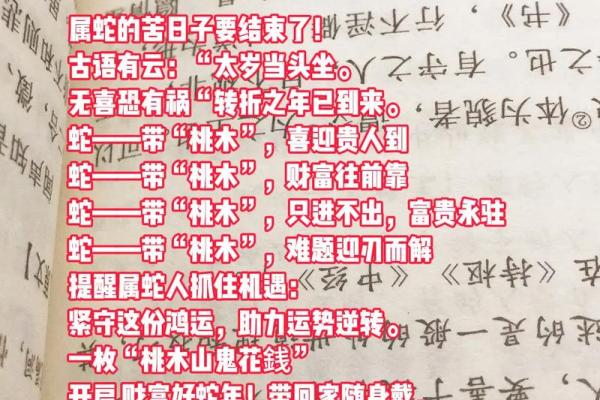 77年蛇48岁后运势如何?转运关键看这几点