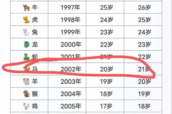 2002年5月属马男孩命运如何?事业婚姻详解 2002年5月属马男孩命运如何?事业婚姻详解
