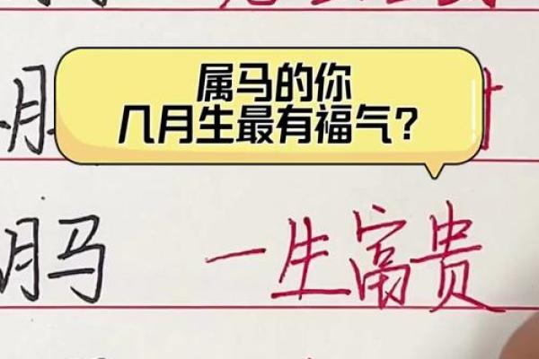 2002年5月属马男孩命运如何?事业婚姻详解
