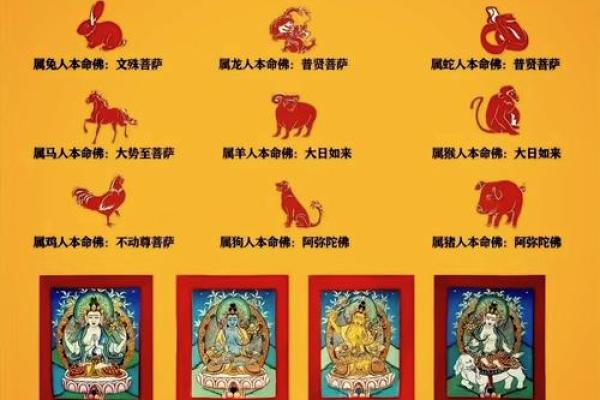 2006年属狗男孩一生命运如何?事业婚姻详解