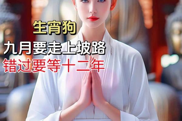 属狗今天打麻将财运如何?提升胜率3大技巧