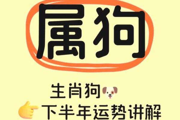 属狗今天打麻将财运如何?提升胜率3大技巧