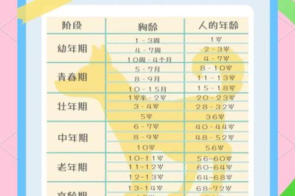 82年女狗最落魄的年龄是几岁？如何化解危机？