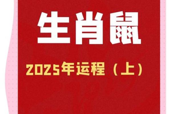 属鼠性格2024年运势如何?提前规划建议