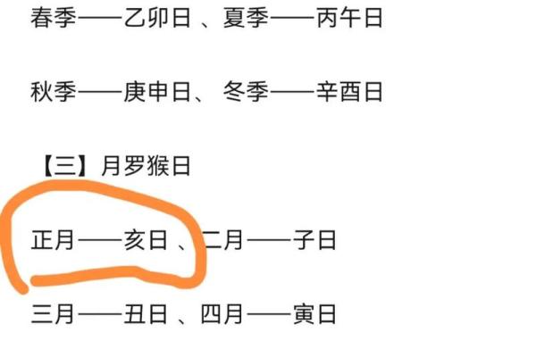 属猴人2026年运势如何？每月运程详解助你趋吉避凶