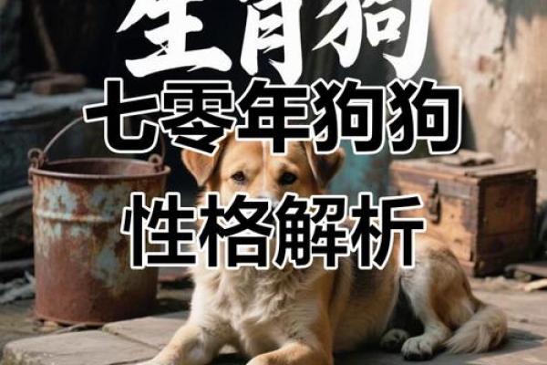 1970年属狗人2026年运势如何？事业财运详解