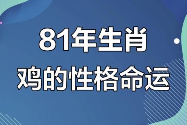 81年属鸡的是什么命？2024年运程指南