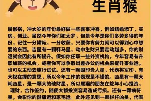 1992年属猴人2026年运势如何？事业财运详解