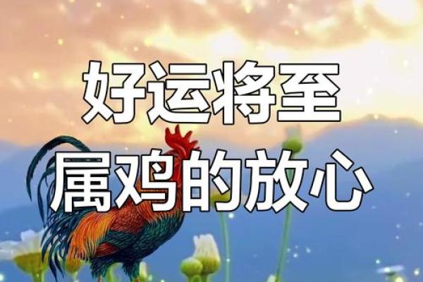 69年属鸡人2026年运势如何？事业财运详解