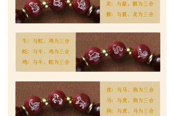 鼠的三合和六个合是什么？生肖配对实用指南