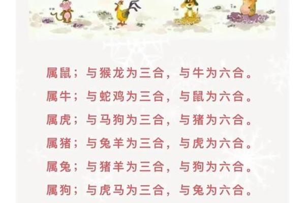 鼠的三合和六个合是什么？生肖配对实用指南