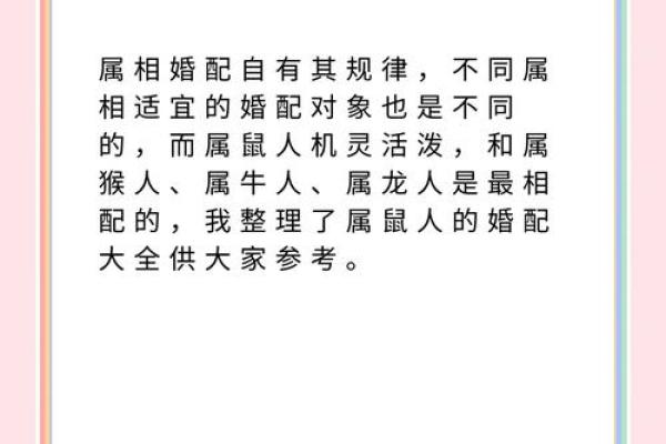 鼠的三合和六个合是什么？生肖配对实用指南