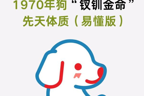 狗的最佳三个贵人属相是哪些？助你运势飙升